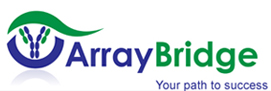 Array Bridge 